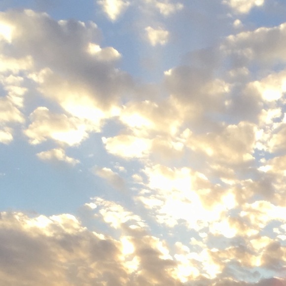 Meet your Posher, Gabriela - Picture 1 of 1